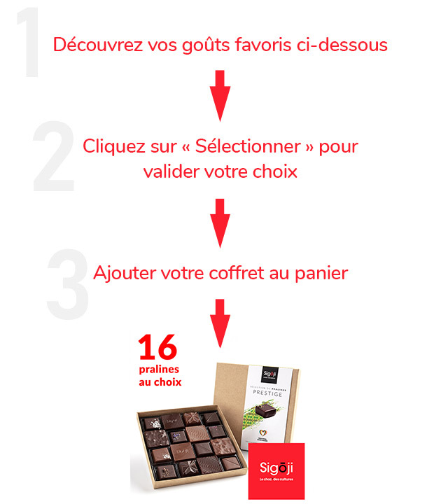 Accompagnement sur mesure de 16 chocolats - Mode d'emploi