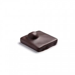 Crunchy dark chocolate hazelnut praline