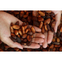 Sigoji luxe chocolaatjes: dit is nog maar het begin van succes!