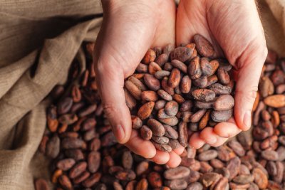 Cocoa beans grown with respect for people and the environment