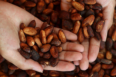 Sigoji luxe chocolaatjes: dit is nog maar het begin van succes!