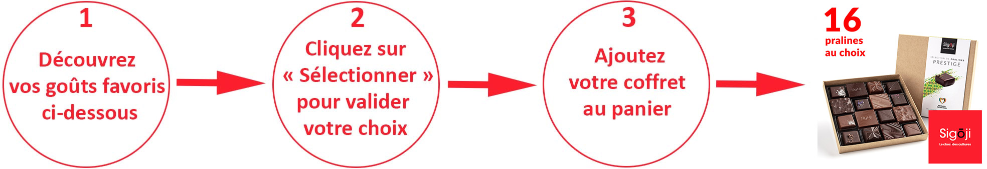 Accompagnement sur mesure de 16 chocolats - Mode d'emploi
