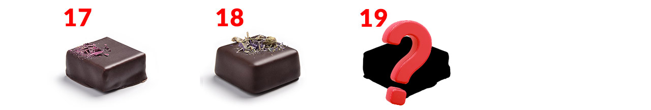 Le coffret Gastronome de fêtes de Sigoji est composé de 68 chocolats et ganaches de 19 saveurs différentes