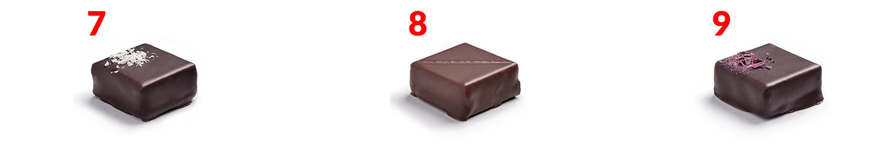 De Exploration box met 9 chocolaatjes van Sigoji met 9 verschillende smaken