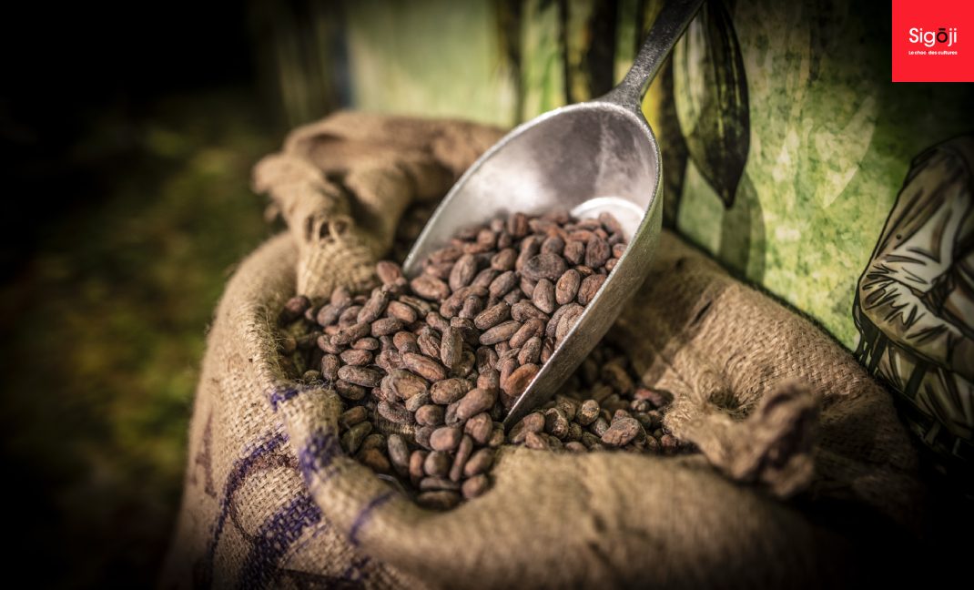 Sigoji propose un praliné croustillant aux amandes et au chocolat noir